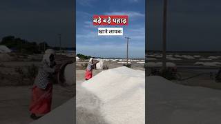 खेतों में नमक कैसे बनता है  salt farming in India [upl. by Warms739]