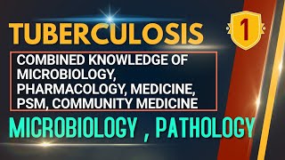 Mycobacterium tuberculosis  Microbiology Pathology Pulmonary amp extrapulmonary   AIIMS PG NEET PG [upl. by Ssegrub]