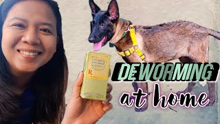 HOW TO USE PYRANTEL EMBONATE NEMATOCIDE TO DEWORM A DOG AT HOME  EASY DIY DOG DEWORMING PURGA [upl. by Lauree]