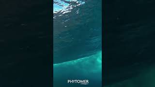 PHYTOMER Thalassotherapy for All [upl. by Eelatan]