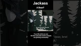 Bitten by a Bear Jackass shorts [upl. by Lambrecht]