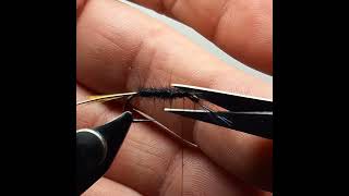 Potteries Fly Tying Beginners  Week 6  Connemara Black [upl. by Nutsud]