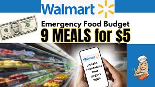 WALMART 5 FOOD CHALLENGE  BREAKFAST LUNCH amp DINNER for 3 DAYS [upl. by Debor3]