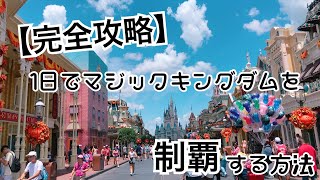 【完全攻略】1日でフロリダディズニーワールドのマジックキングダムを制覇する方法 [upl. by Ahsaei]