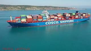 COSCO Shipping [upl. by Elamaj]