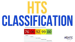 HTS Classification is the key to International Trade [upl. by Hayimas]