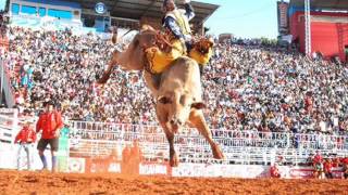 RODEIO AS MELHORES DAS ARENAS [upl. by Lanaj]