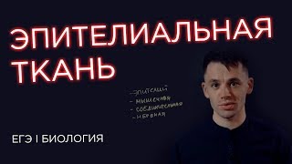 Эпителиальная ткань I ЕГЭ Биология  Даниил Дарвин  Вебиум [upl. by Rita]