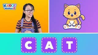 3 Letter Words Spelling  English Spelling  English Vocabulary and Phonics Sounds [upl. by Edwyna308]