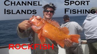 Channel Islands SportFishing Catching Rockfish [upl. by Market]