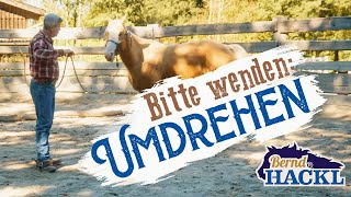 Vom Boden aus umdrehen  Bernd Hackl erklärt 🐴 [upl. by Herman]