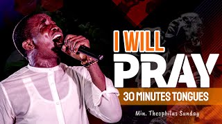 I WILL PRAY  A 30 minutes PRAYER in Tongues with Min Theophilus Sunday  Msconnect Worship2 [upl. by Idieh553]