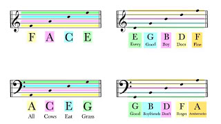 How To Read Notes On The Staff  EASY  Music Theory Tutorial [upl. by Valdis]