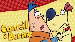 Corneil amp Bernie  Pas de Chocolats et Le Dogsitters  Dessin animé pour enfants [upl. by Tybald]