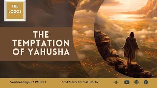 The Logos 16  The Temptation of Yahusha thelogos biblestudy temptationofYahusha [upl. by Proudlove534]