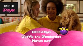 Waffle the Wonder Dog  Streaming Now on BBC iPlayer  Cbeebies [upl. by Akehsar528]