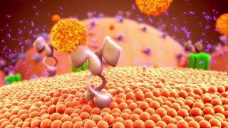 The Science Behind 17Hydroxylase Deficiency Syndrome Exploring the Genetics [upl. by Anuahsat]