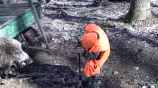 Wild Boar Huntin in the Tennessee Mountains [upl. by Burris]