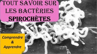 Les Bacteries SPIROCHETESLes MYCOBACTERIES amp INTRACELLULAIRE  Tout SAVOIR sur les BACTERIES [upl. by Tully]