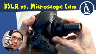 🔬 Usability considerations of microscope cameras DSLR vs dedicated cameras  Amateur Microscopy [upl. by Dougal535]