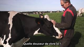 Ma Vie de Vache Film Complet [upl. by Reo875]