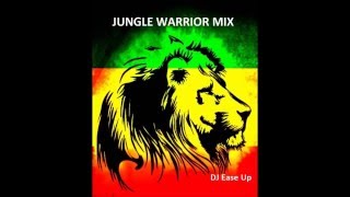 Drum and Bass Reggae Mix Free Download [upl. by Stanley]