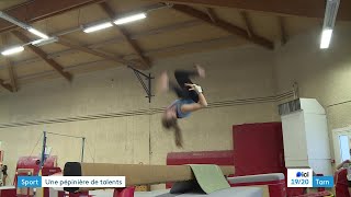 Des gymnastes par centaines au Salto Albigeois [upl. by Edea]