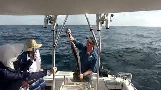 Sunshine Coast Fishing Out of Mooloolaba With Smithys Charters Chasing Amberjack and Pearl Perch [upl. by Velasco]