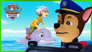 Rescue Knights Pups stop a magical sleepy spell and more episodes  PAW Patrol  Cartoons for Kids [upl. by Ynaffyt]