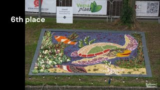 Fruitmosaics Tiel results 2024 [upl. by Aleibarg]