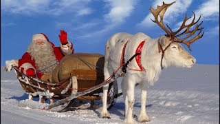 Santa Claus for kids 🦌🎅 Best reindeer rides of Father Christmas in Lapland Finland for children [upl. by Lebama34]