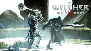 Imlerith vs The Caretaker  THE WITCHER 3 Cinematic NPC Wars [upl. by Eeldivad470]