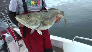 norwegia 2014 lofoten fishing center [upl. by Dorotea987]