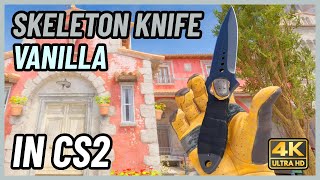 ★ CS2 Skeleton Knife Vanilla  CS2 Knife InGame Showcase 4K [upl. by Liane]