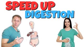 How to Speed Up Digestion [upl. by Akili]