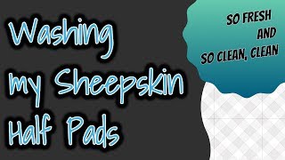 How to wash sheepskin half padsnumnahs [upl. by Idnil]