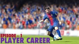 FIFA 14  ALL SKILLS TUTORIAL  HD [upl. by Aikemet816]