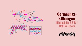 Gerinnungsstörungen APCResistenz amp Hämophilie A  B  Ursache  MissenseMutation  Übersicht [upl. by Lindi175]