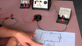 setting up ohms law circuit [upl. by Grenier]