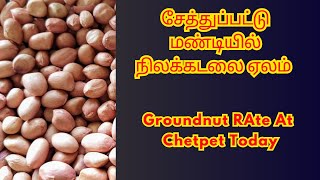 சேத்துப்பட்டு மண்டியில் நிலக்கடலை ஏலம்  Todays Groundnut Rate At Chetpet Mandi  Peanut Wholesale [upl. by Sena]