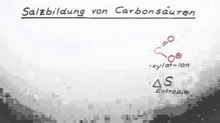 Salzbildung von Carbonsäuren  Chemie  Organische Chemie [upl. by Cyrie356]