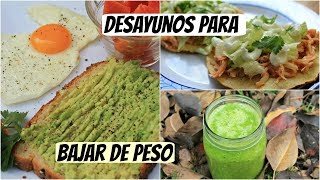 Desayunos para adelgazar Almuerzos fáciles y rápidos para perder peso [upl. by Duggan]