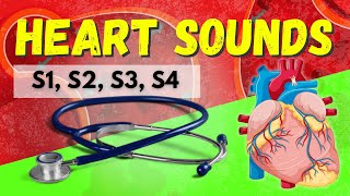 Heart Sounds Made Easy  S1 S2 S3 S4 and Murmurs Systolic and Diastolic [upl. by Sascha]