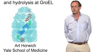 Arthur Horwich YaleHHMI Part 2 The role of ATP binding and hydrolysis at GroEL [upl. by Oer]