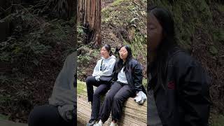 Tonight You Belong to Me cover by Kyla and Amanda  Muir Woods National Monument May 19 2024 [upl. by Adlay]