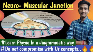 Neuromuscular Junction  Nerve Muscle Physiology  hindi  Ashish Agrawal [upl. by Melise]