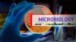 MICROBIOLOGY  Lecture 2 Branches Of Microbiology  Ustad Abdi Yusuf [upl. by Joline]