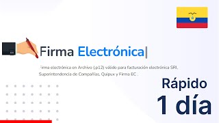 Cómo obtener una Firma Electrónica en Ecuador  100 Online [upl. by Ileana]