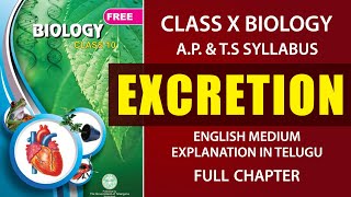 Class 10 Biology Class  Excretion  Life Processes Biology  by Shipra Mam [upl. by Oiramal]