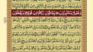 QuranPara1430Urdu Translation [upl. by Domph]